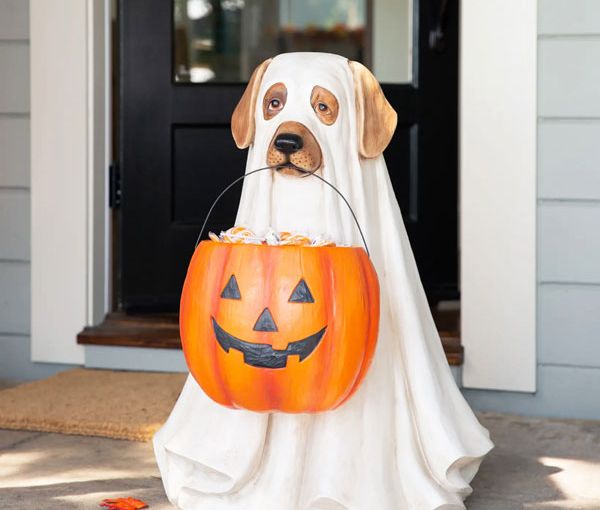 8 Ways To Capture the Halloween Spirit - DesignNJ